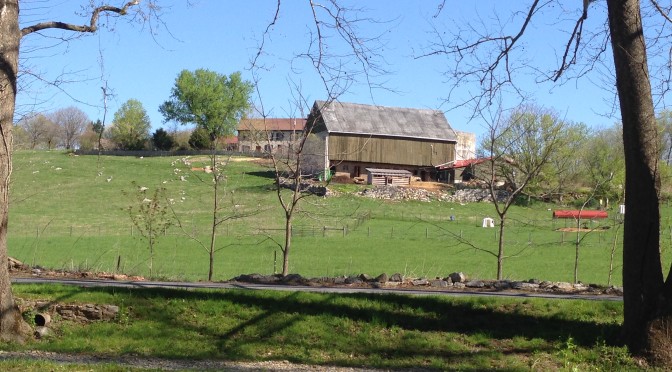 Sprigg's Delight Farm Barn