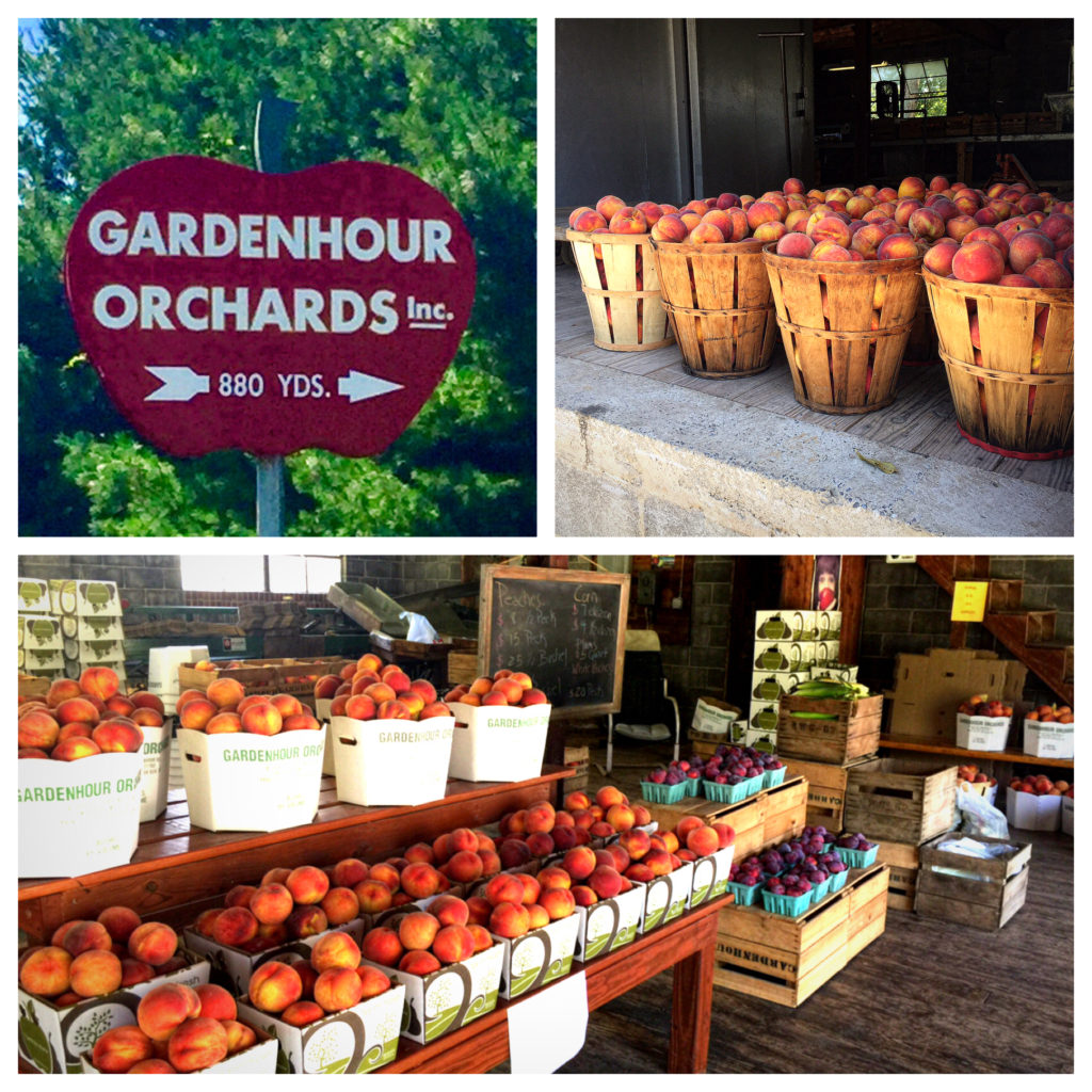 Gardenhour Orchards